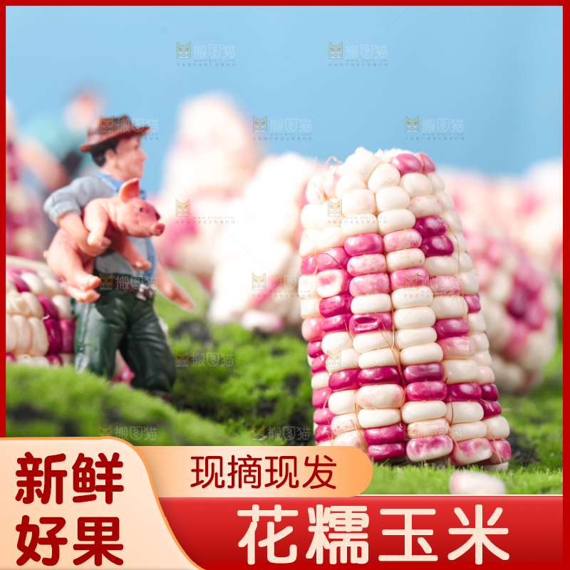 绿草地上放着花糥玉米