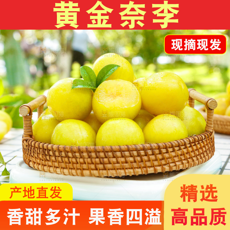 格子底上放着一篮黄金奈李