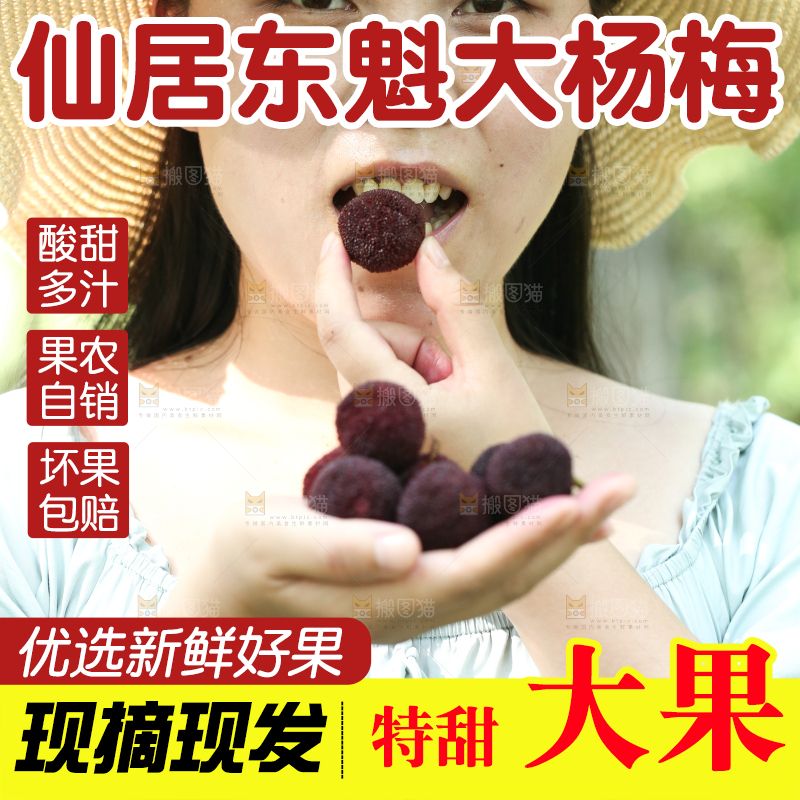 手里拿着野生杨梅