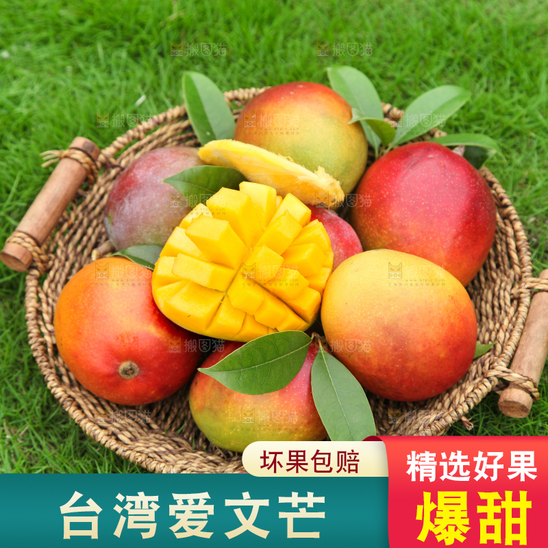草地上摆放着一篮爱文芒