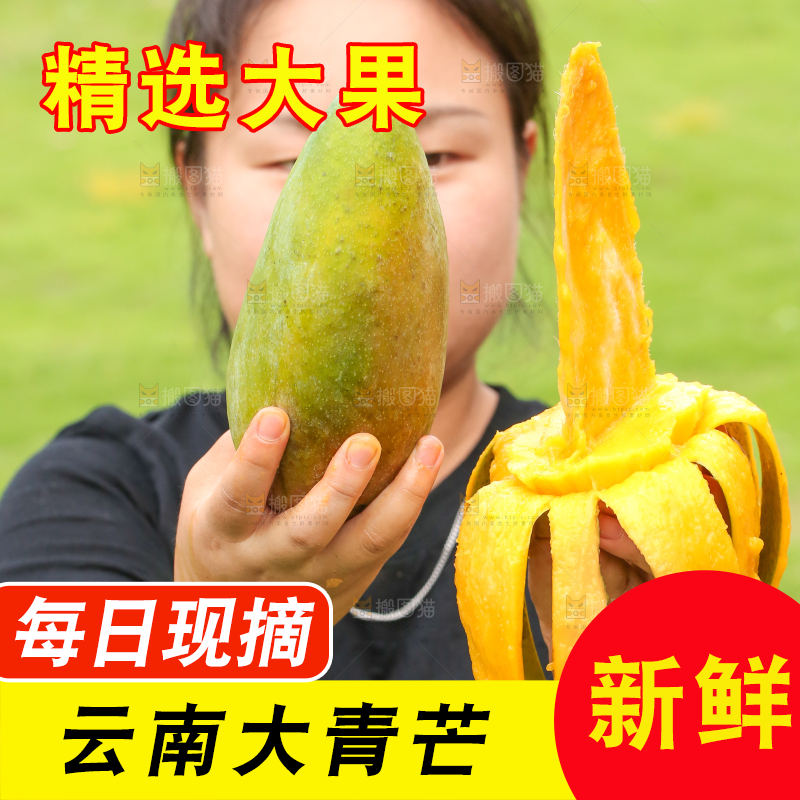 手里拿着青芒