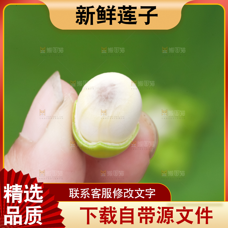 手里拿着莲子