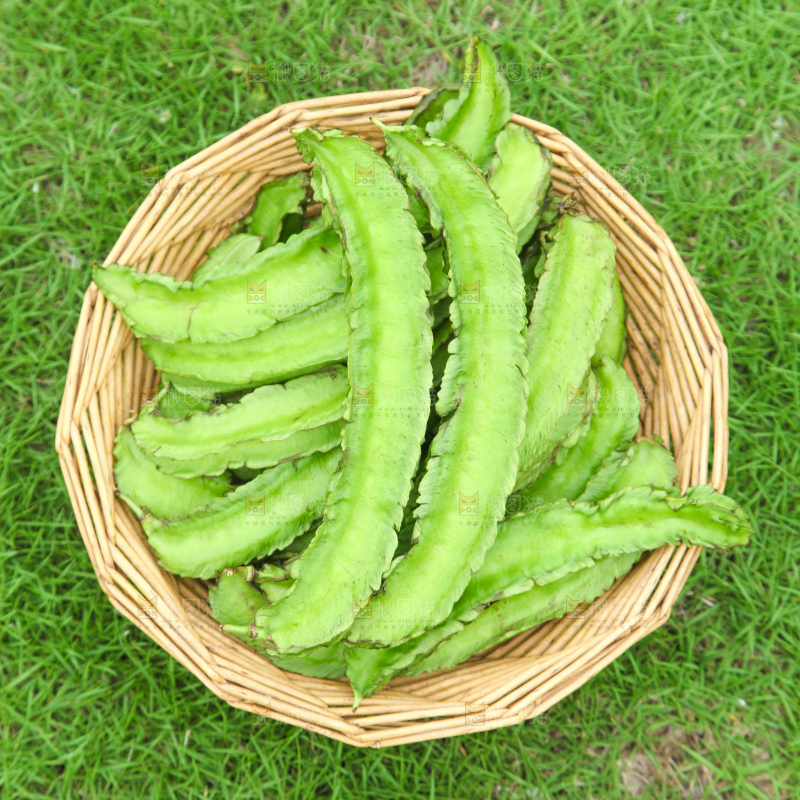 草地上放着一篮四角豆