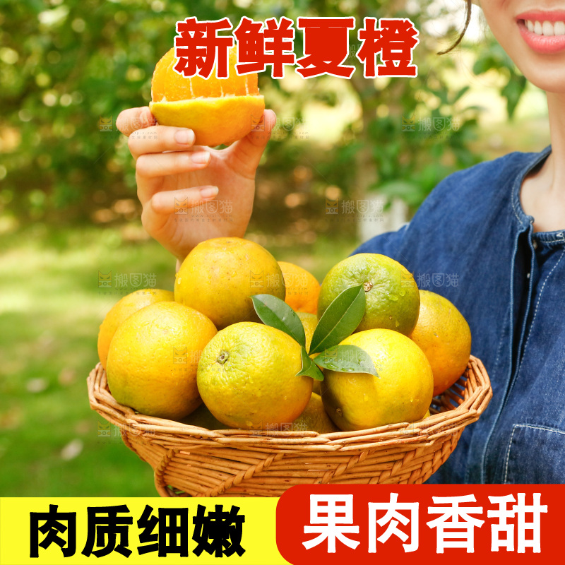 手里端着一篮秭归夏橙