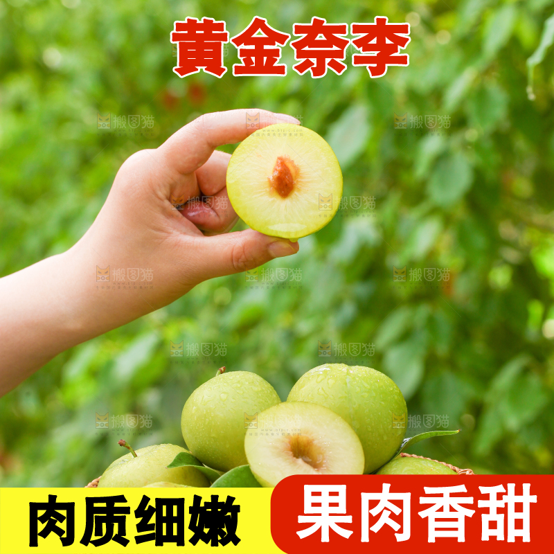 手里端着一篮黄金李