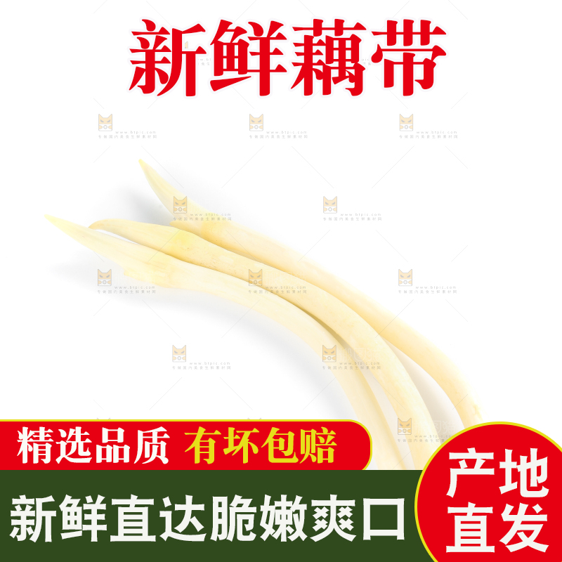 白底上摆放着新鲜藕带
