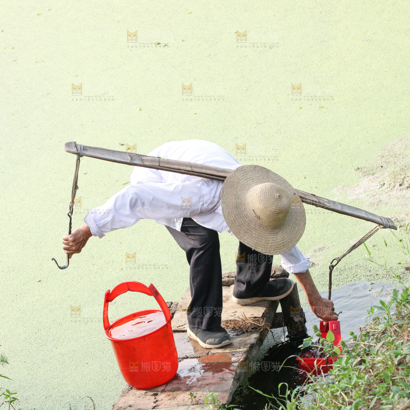 农民正在挑水种庄稼