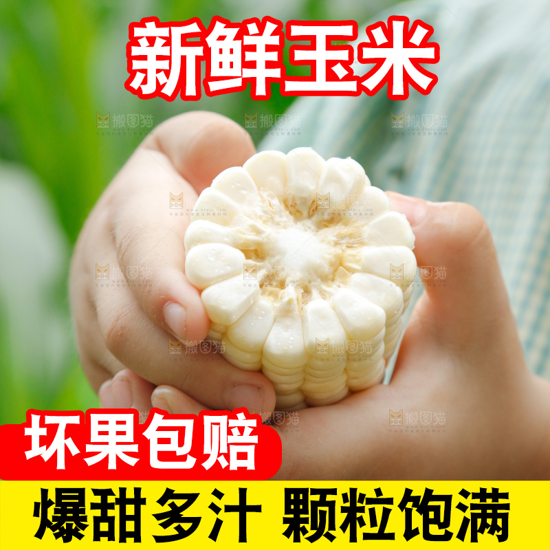 手里拿着甜玉米