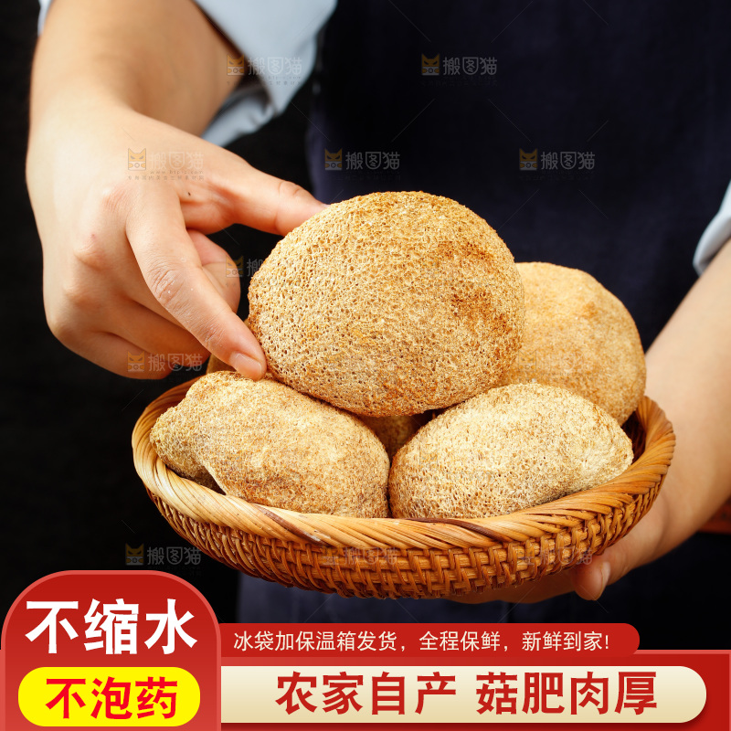 手里端着一篮干猴头菇