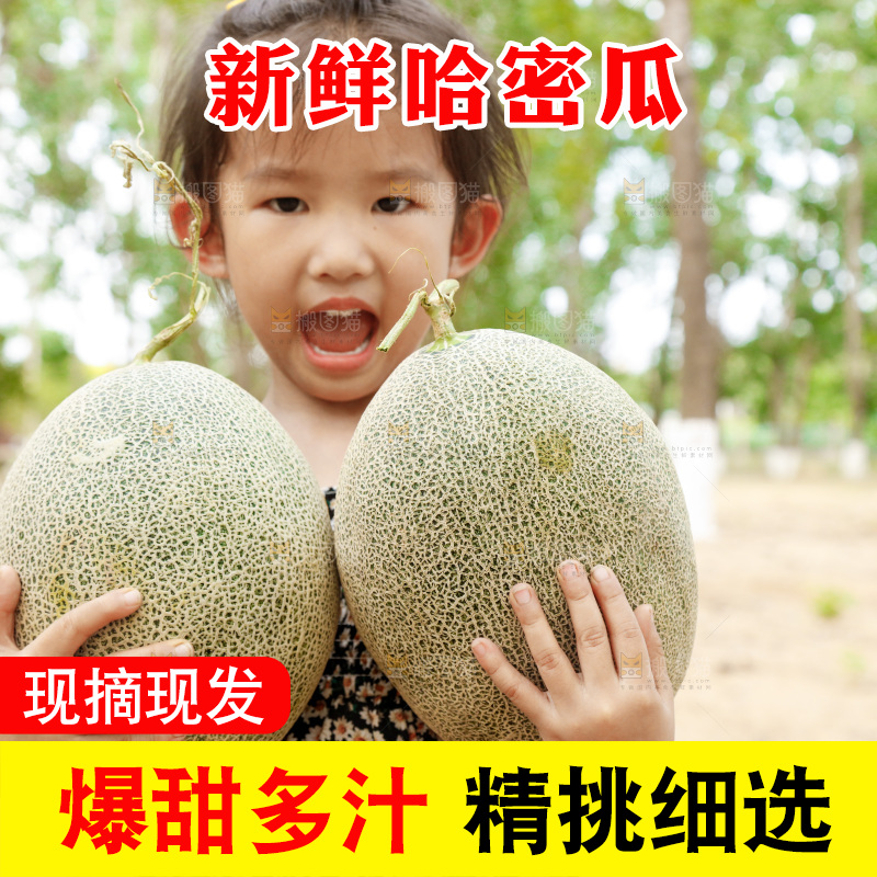 小女孩手里抱着网纹瓜