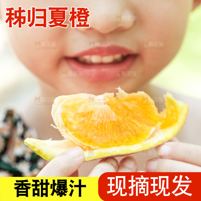 小女孩正在吃橙子
