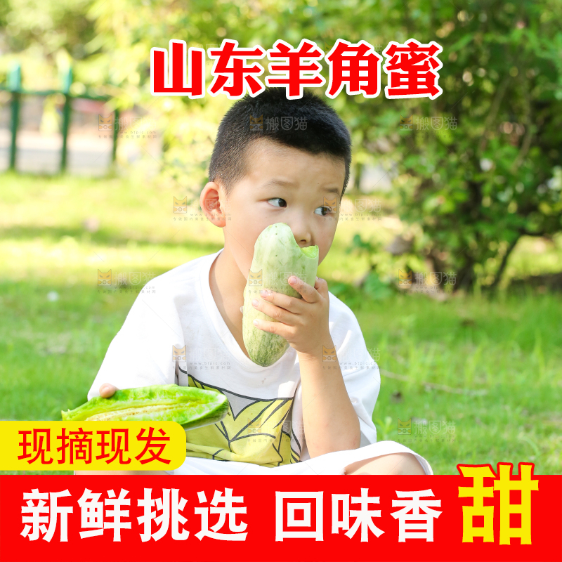 小男孩正在吃羊角蜜