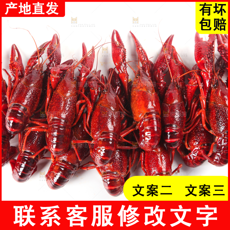 白底上摆放着小龙虾