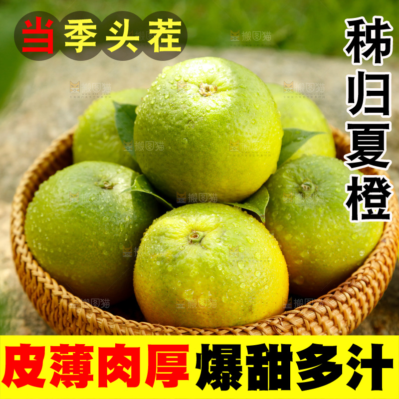 篮子里装着秭归夏橙