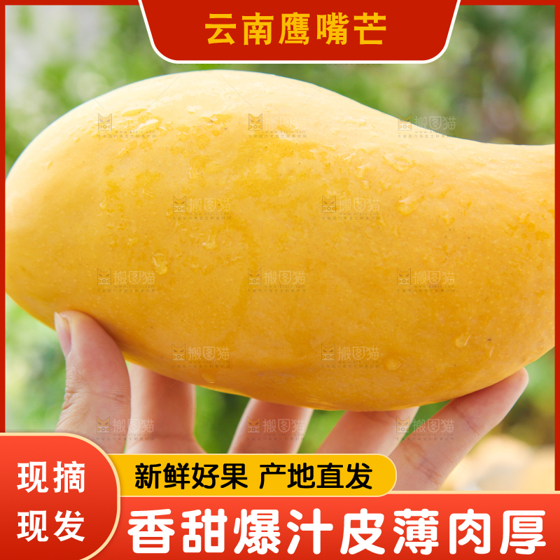 手里拿着芒果