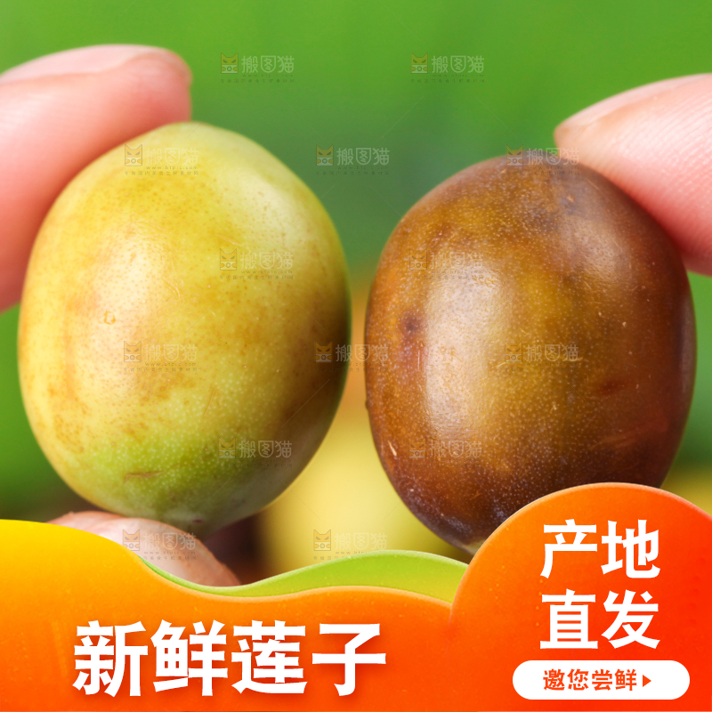 手里拿着莲子