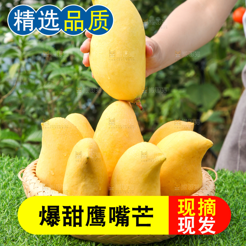 绿草地上放着一篮云南新鲜鹰嘴芒