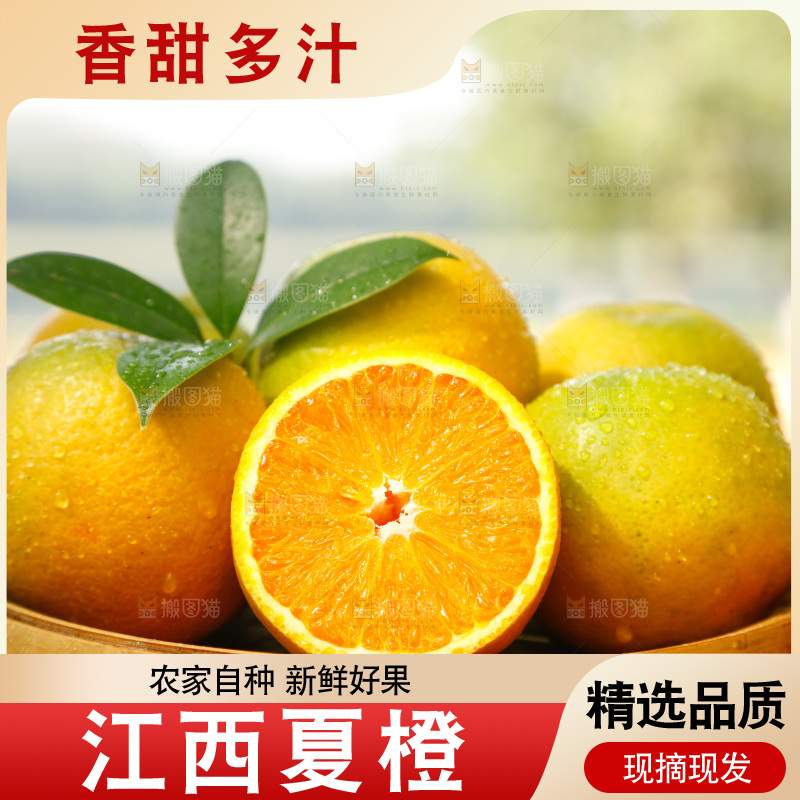 篮子里装着秭归夏橙