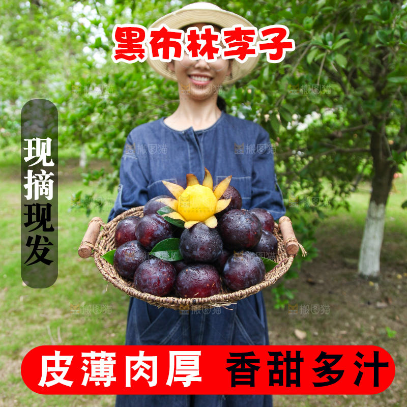 手里端着一篮黑布林