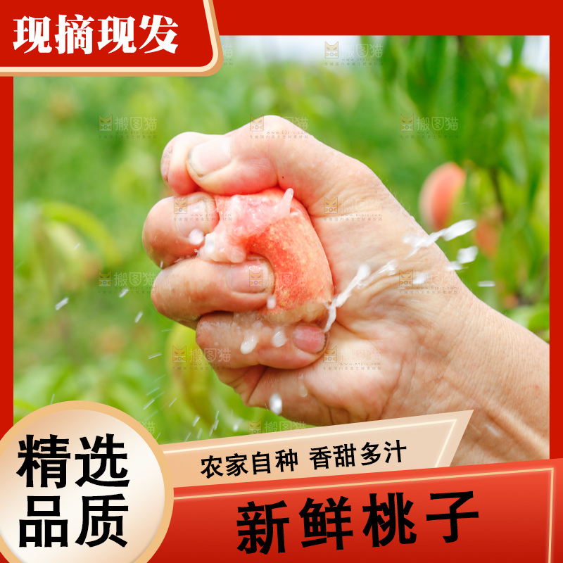 手里拿着新鲜胭脂红