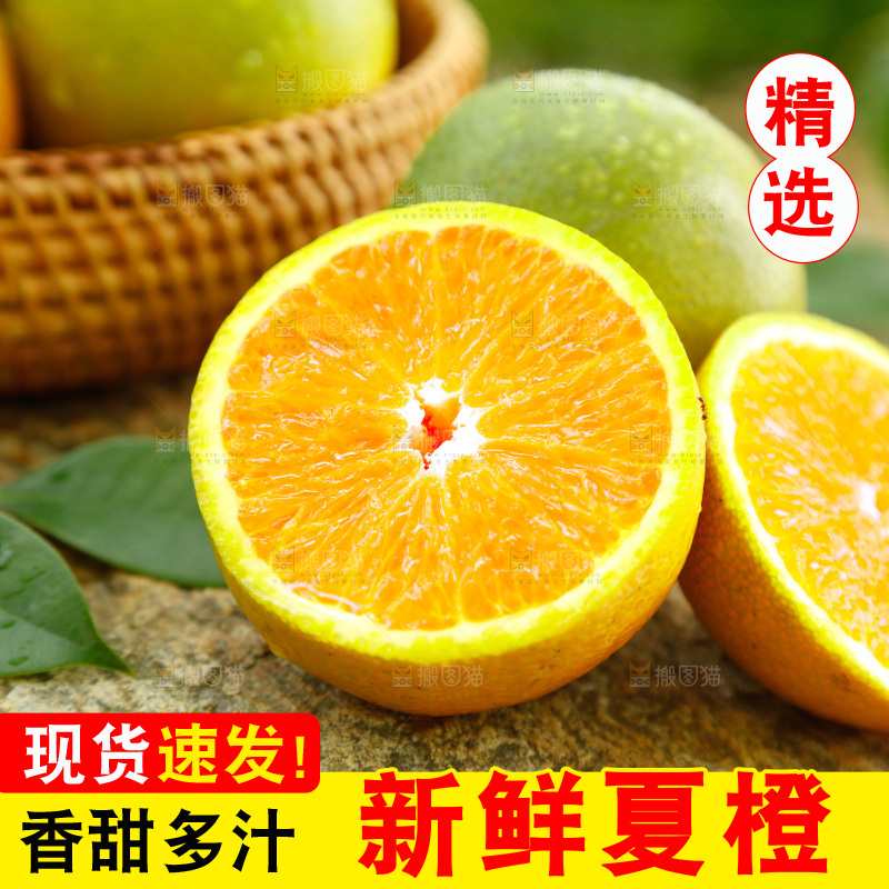 浅底上摆放着橙子