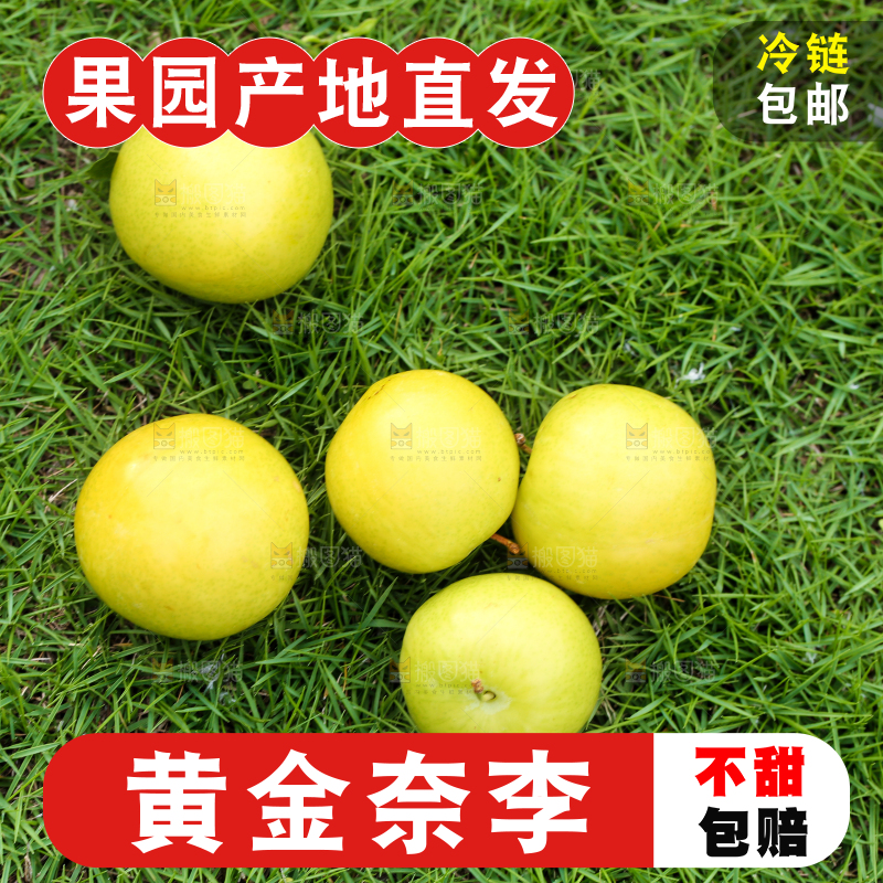 草地上摆放着黄金李