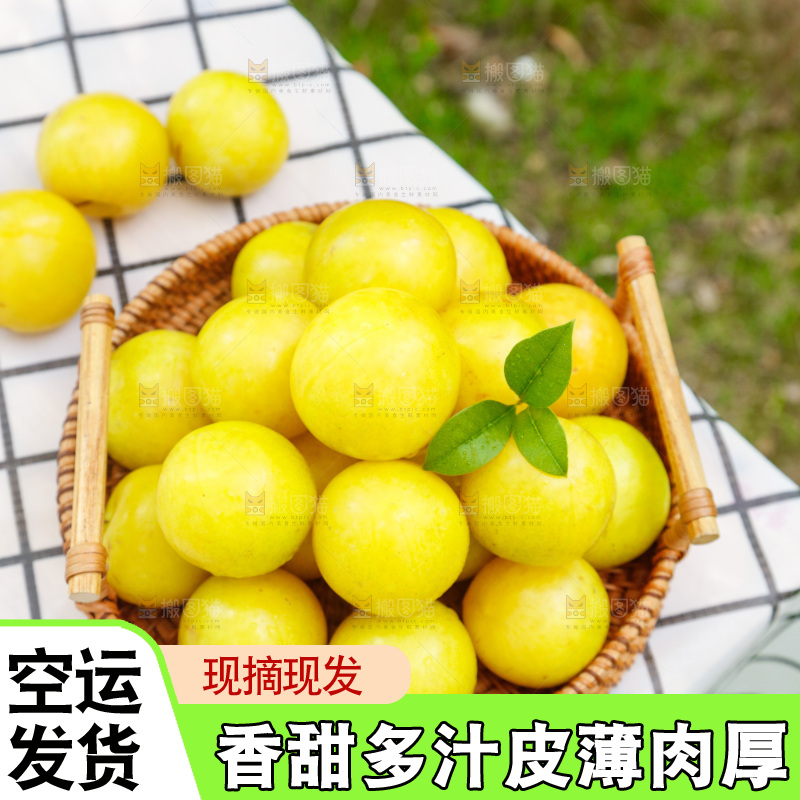 篮子里装着黄金奈李