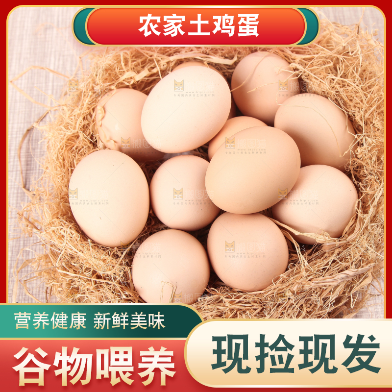 草堆上摆放着生鸡蛋