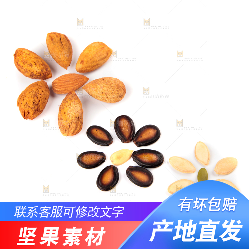 白底上的坚果素材