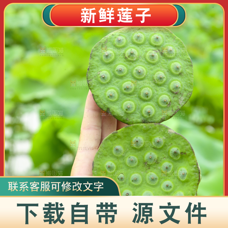 手里拿着莲蓬