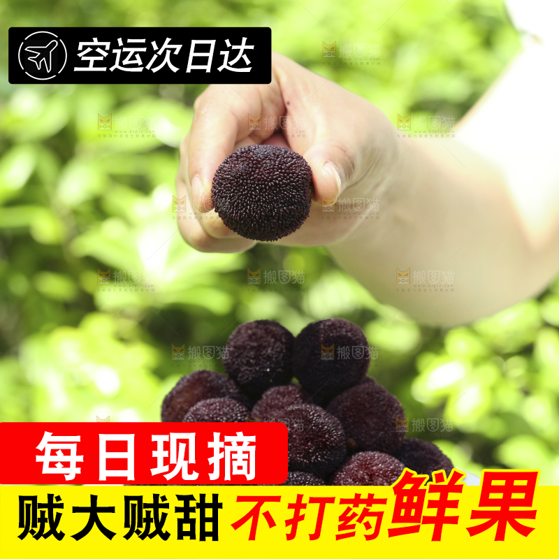 手里端着一盘新鲜杨梅