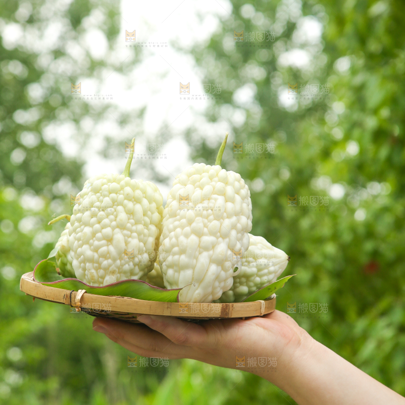 手里拿着一篮苹果苦瓜