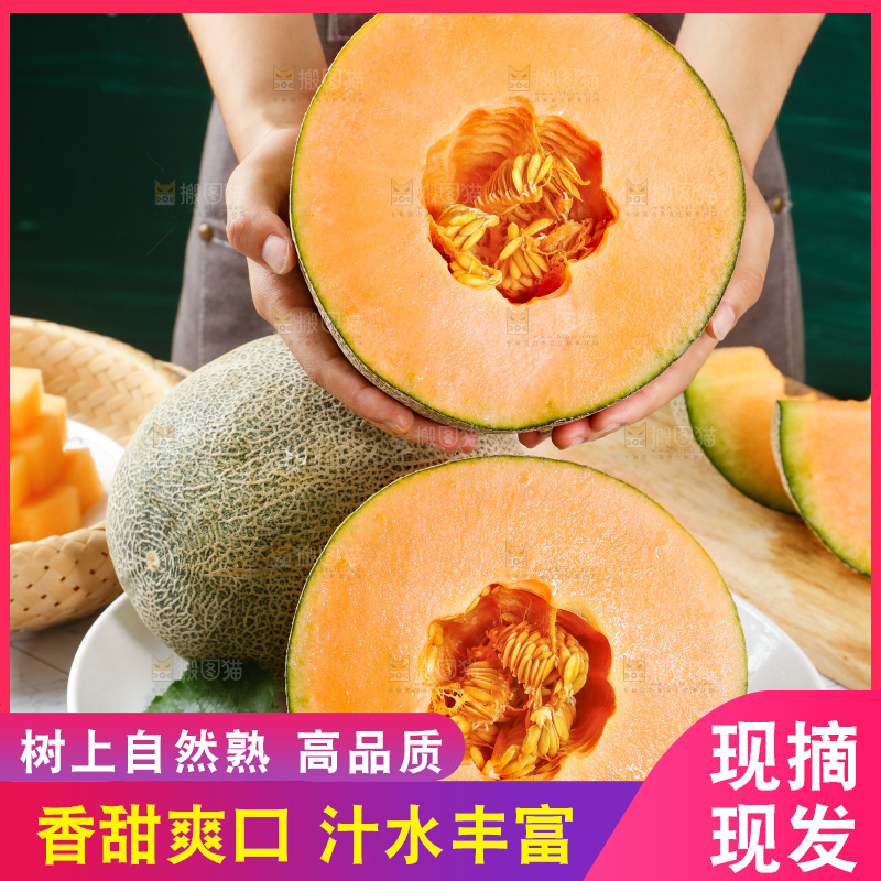 手里拿着晓蜜25号