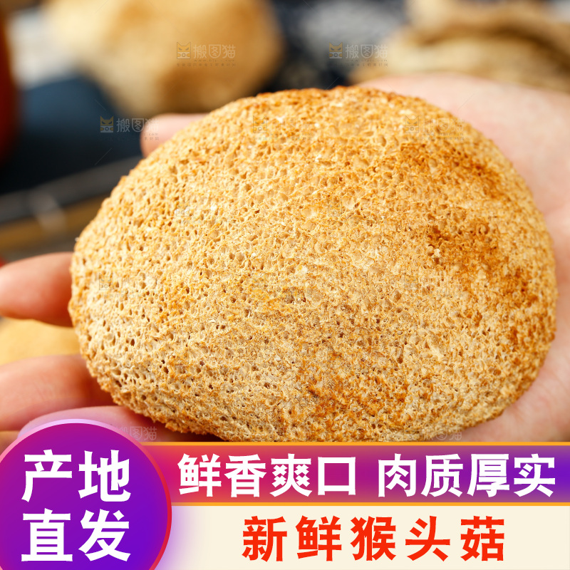 手里拿着猴头菇