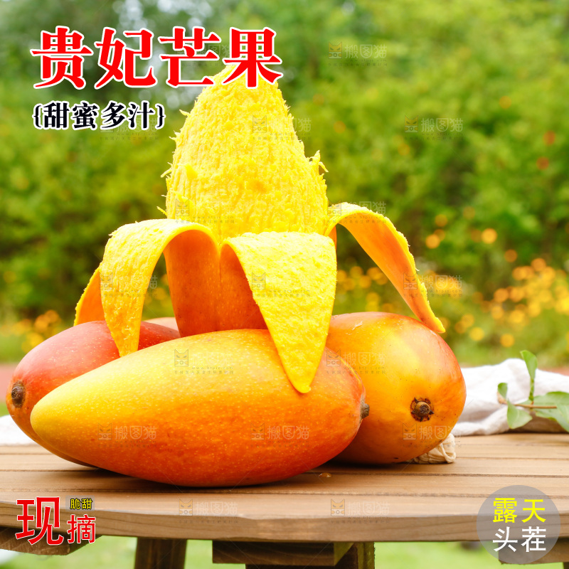 桌子摆放着贵妃芒
