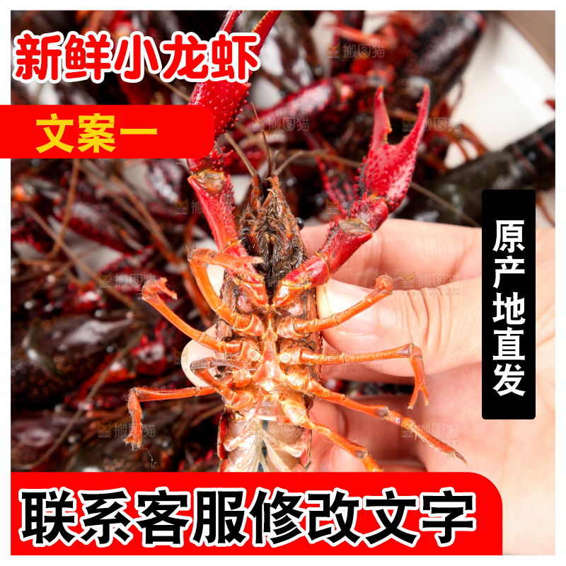 手里拿着龙虾