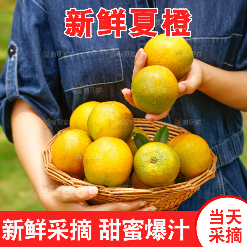 手里端着一篮秭归夏橙