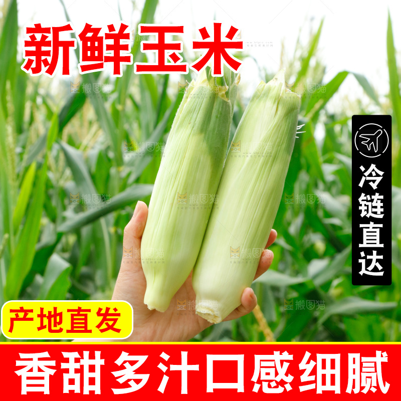 手里拿着牛奶玉米