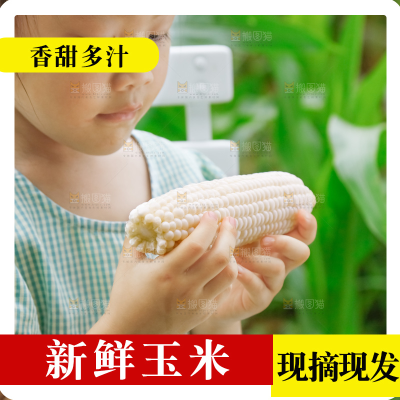 小女孩正在吃牛奶水果玉米