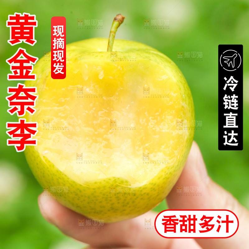 手里拿着黄金奈李