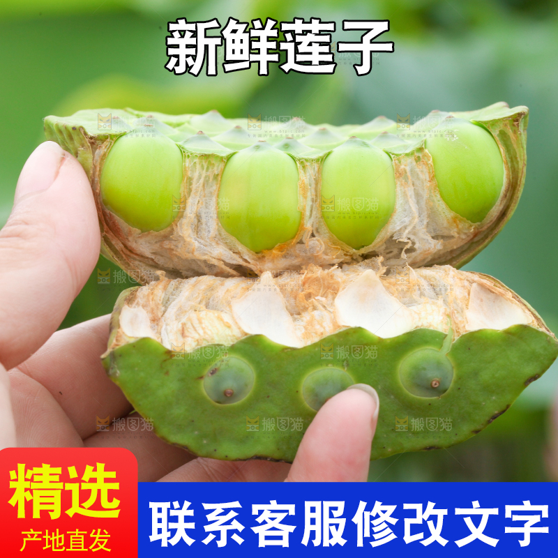 手里拿着莲蓬子