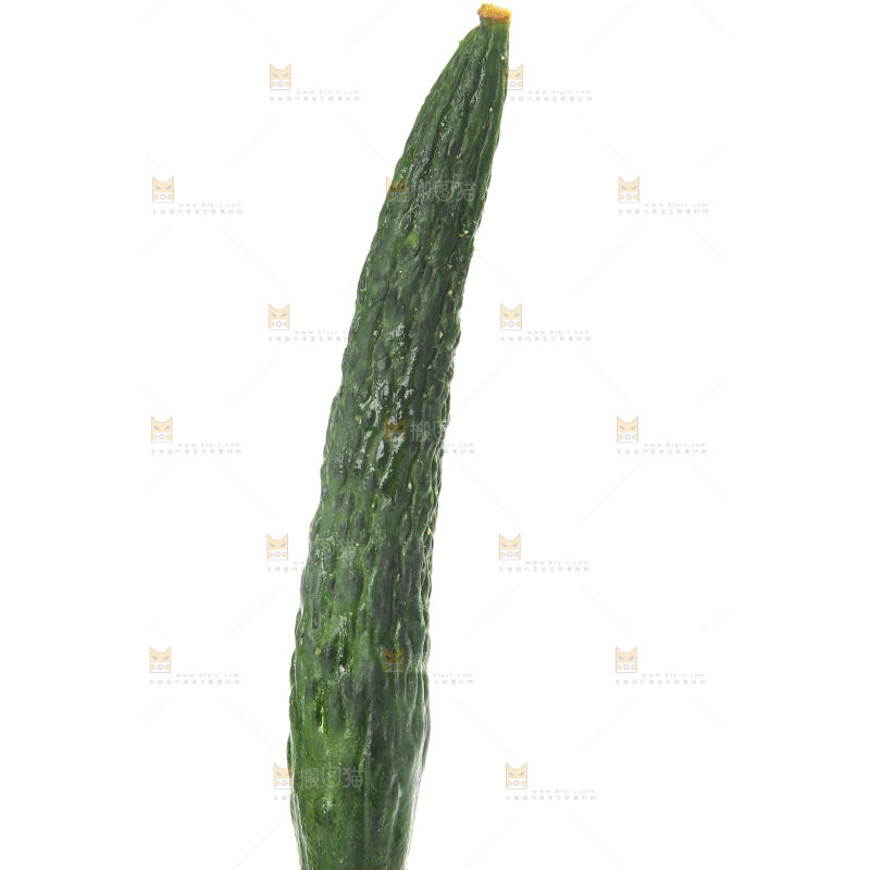 白底上摆放着新鲜黄瓜妞