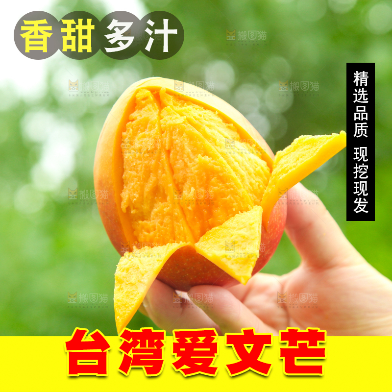 手里拿着苹果芒