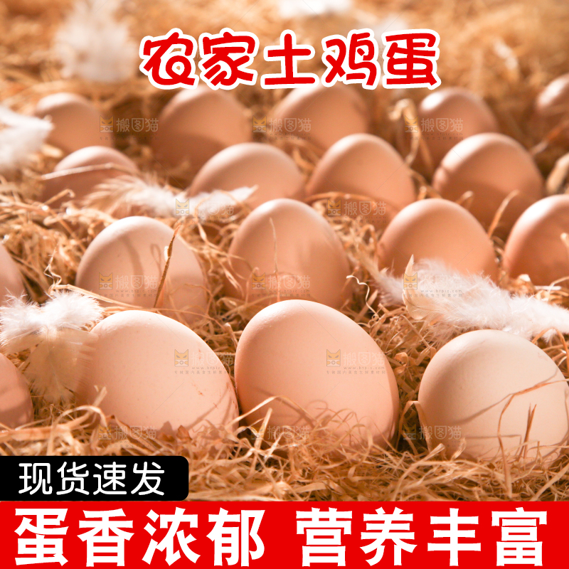 草堆里摆放着生鸡蛋