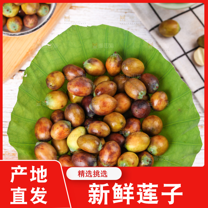 荷叶上摆放着莲蓬子