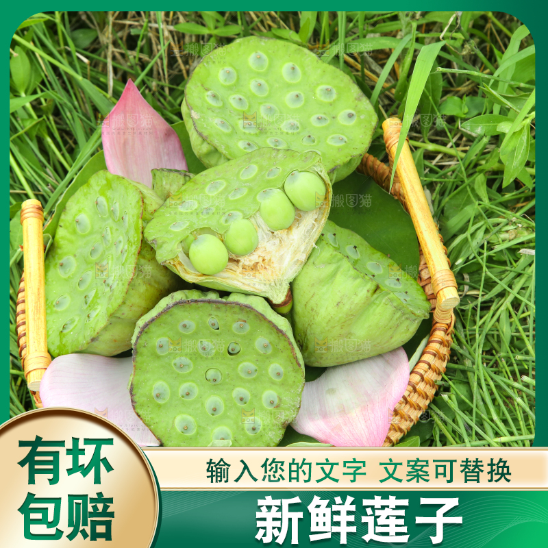 篮子里装着新鲜莲蓬