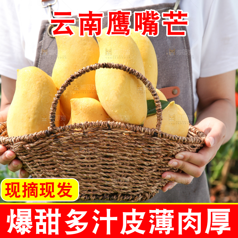 手里提着一篮云南鹰嘴芒