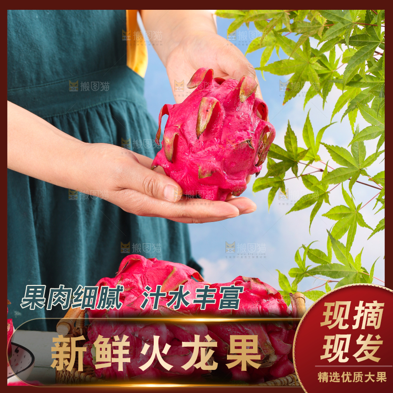手里拿着火龙果
