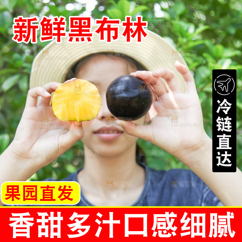 手里拿着黄肉黑布李
