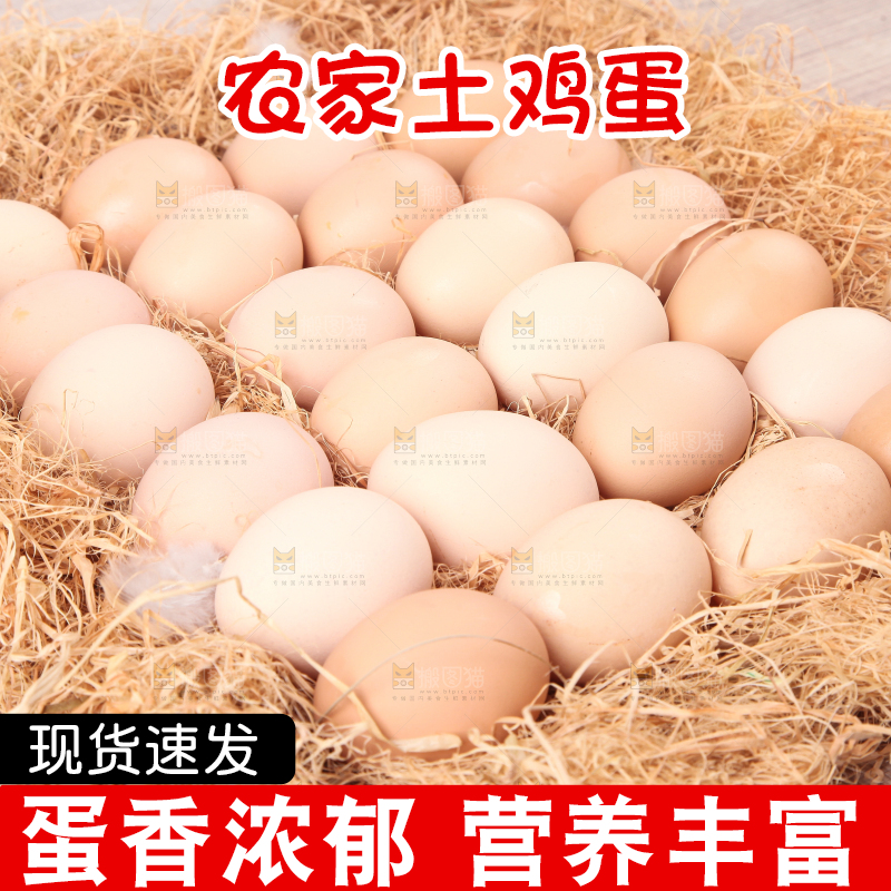 草堆上摆放着散养土鸡蛋